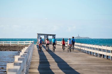 Recorrido en bicicleta eléctrica por Mauricio en Grand Port